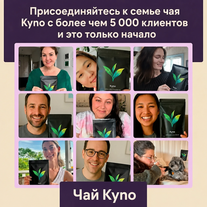 Чай улун KynoTea