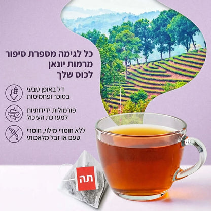 Kyno Tea – עשיר באופן טבעי בנוגדי חמצון, מסייע לשיקום הבריאות מבפנים ומבחוץ