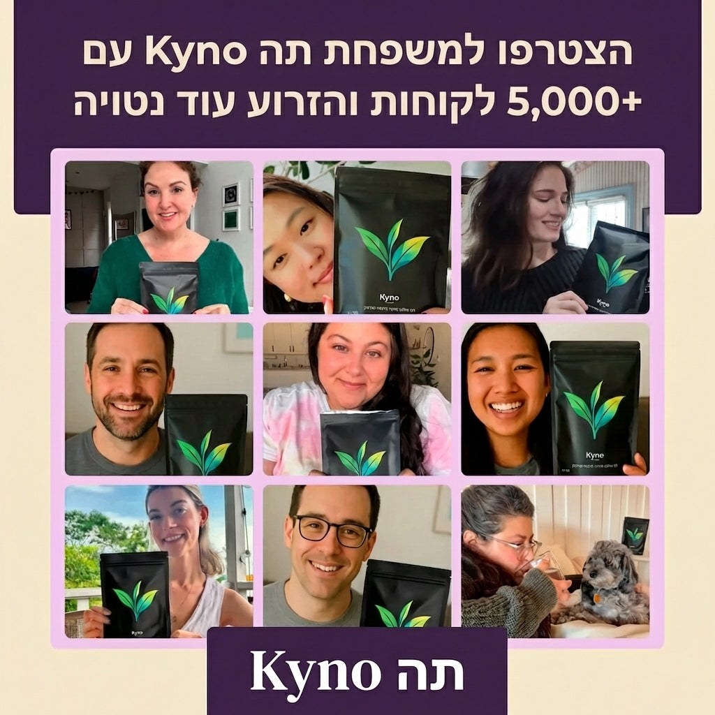 Kyno Tea – עשיר באופן טבעי בנוגדי חמצון, מסייע לשיקום הבריאות מבפנים ומבחוץ