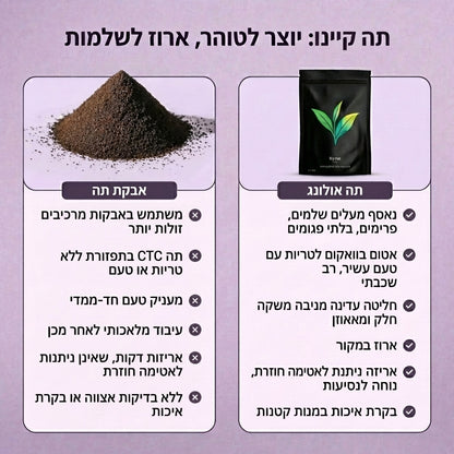 Kyno Tea – עשיר באופן טבעי בנוגדי חמצון, מסייע לשיקום הבריאות מבפנים ומבחוץ